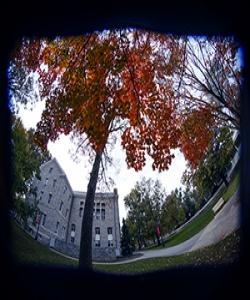 Fish Eye Example