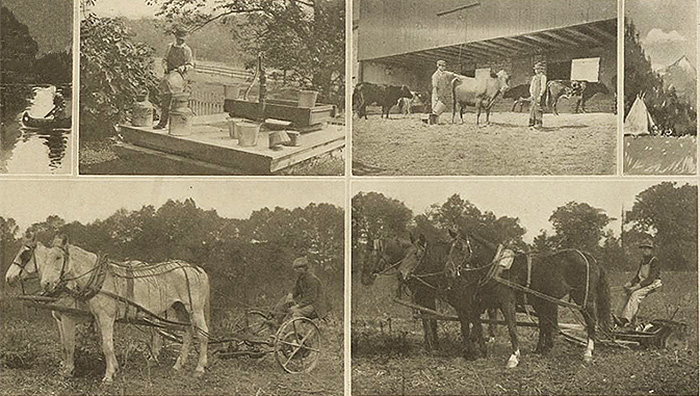 Postcard caption: "Students Working on Pennsylvania Farms. Learning by Doing." Courtesy of Carlisle Indian School Digital Resource Center.