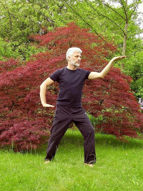 Wednesday, April 15: Tai Chi Session