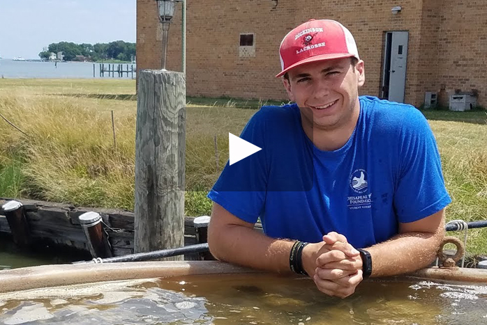 Michael Marinelli '19 is working to restore the oyster population in the Chesapeake Bay with his internship at the Chesapeake Bay Foundation.