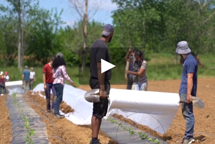 If you've ever wondered what life is like on the Dickinson College Farm, this virtual walking tour will give you a glimpse into the 80-acre, USDA-certified organic farm.