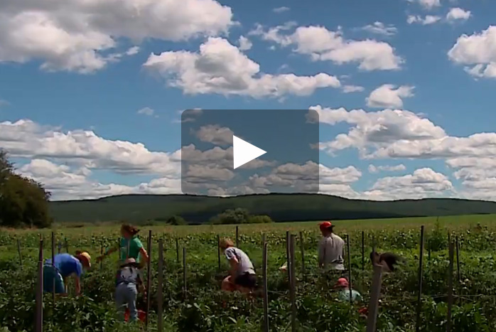 Farm video image