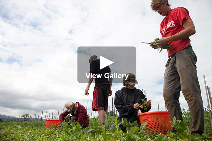 College Farm Interns