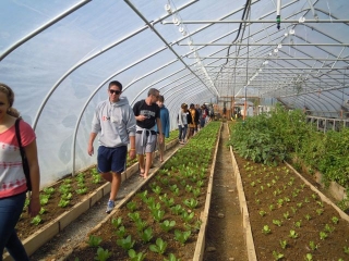 Spanish Class Visits College Farm 3