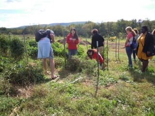 Spanish Class Visits College Farm 6