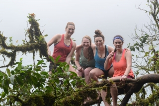 Cassa students in tree