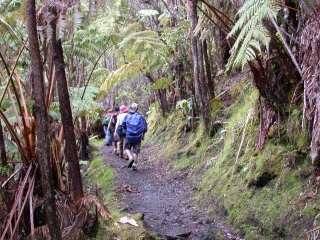 Hiking kilauea iki trail hawaii 3 16 04