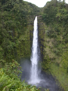 Akaka falls hawaii 3 15 04
