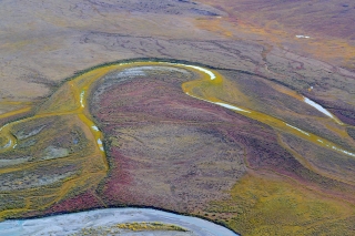 Alaska tundra