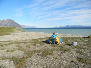 Baffin1952